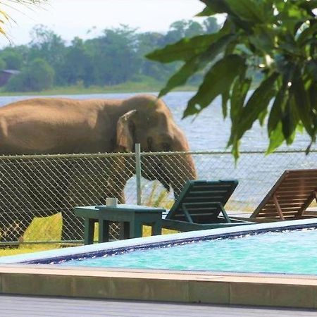 Hotel Lake Park Polonnaruwa Zewnętrze zdjęcie