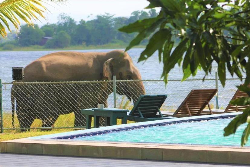 Hotel Lake Park Polonnaruwa Zewnętrze zdjęcie