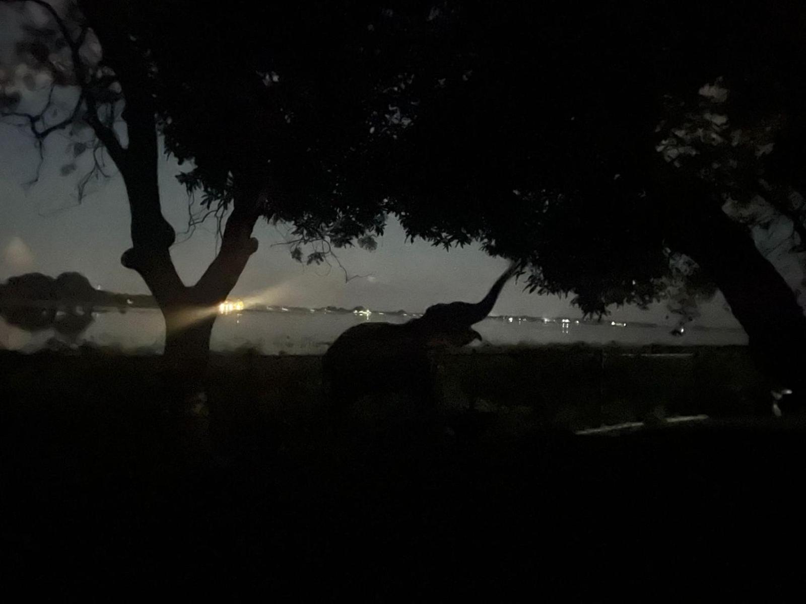 Hotel Lake Park Polonnaruwa Zewnętrze zdjęcie