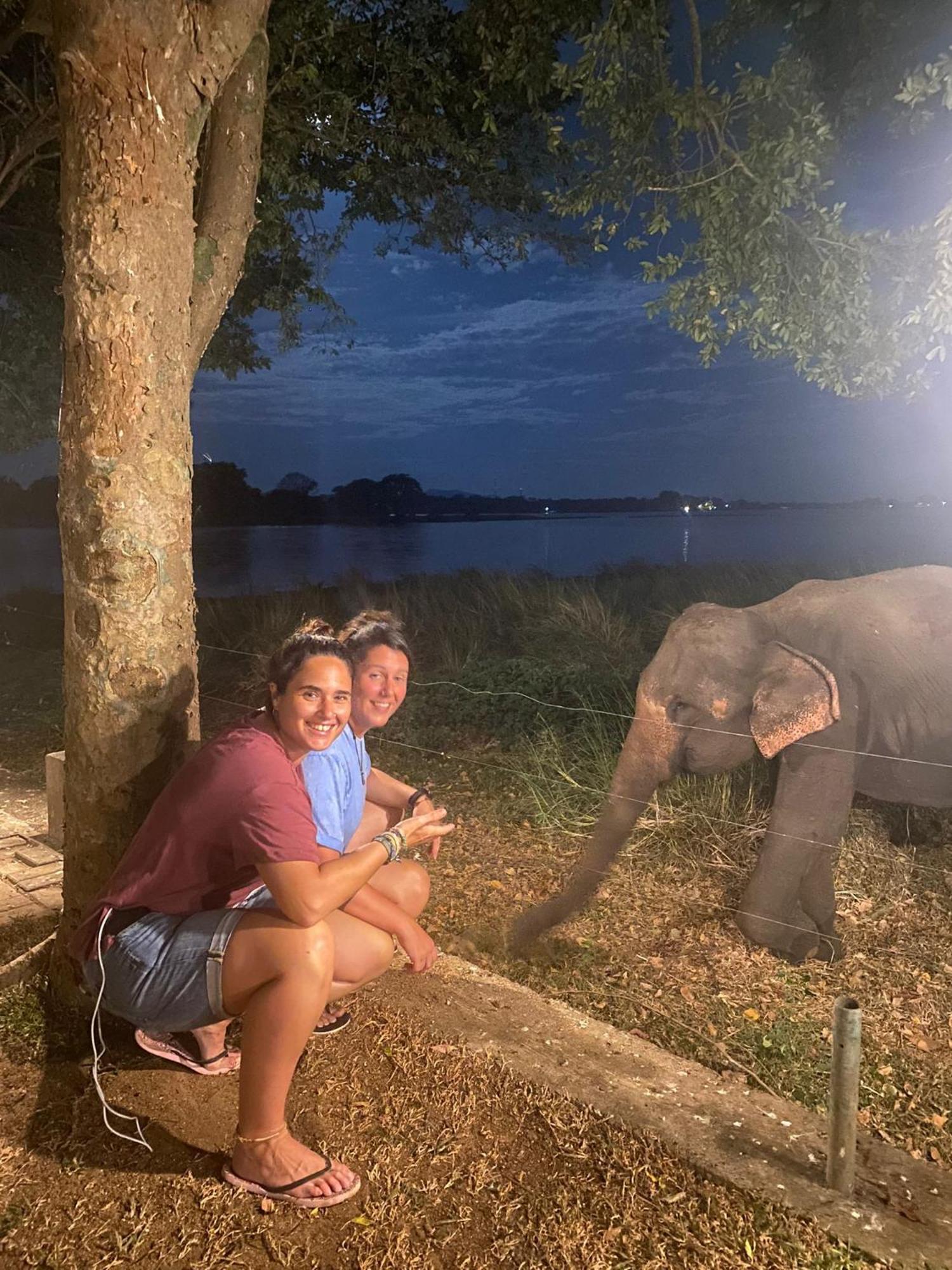 Hotel Lake Park Polonnaruwa Zewnętrze zdjęcie