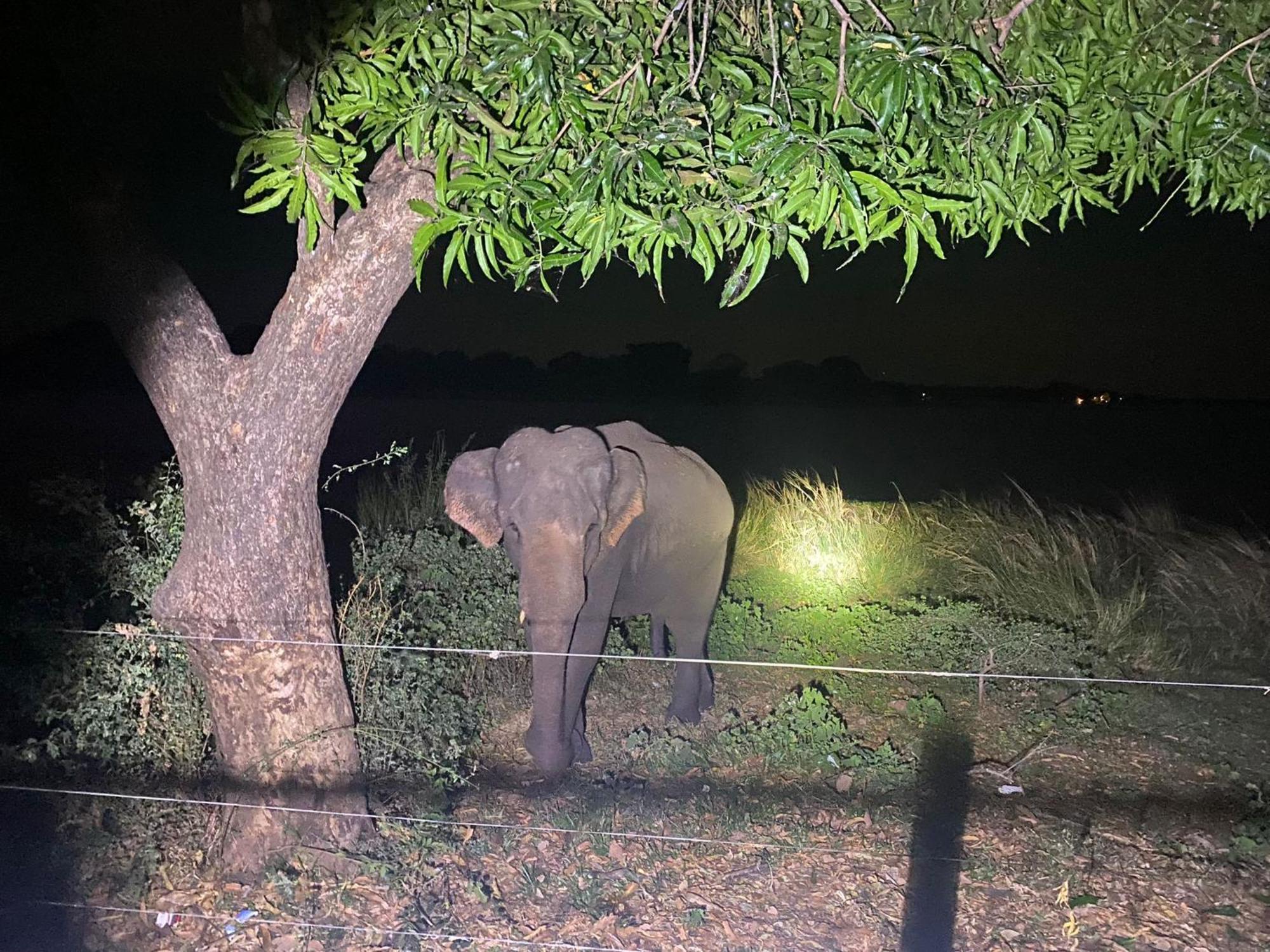 Hotel Lake Park Polonnaruwa Zewnętrze zdjęcie